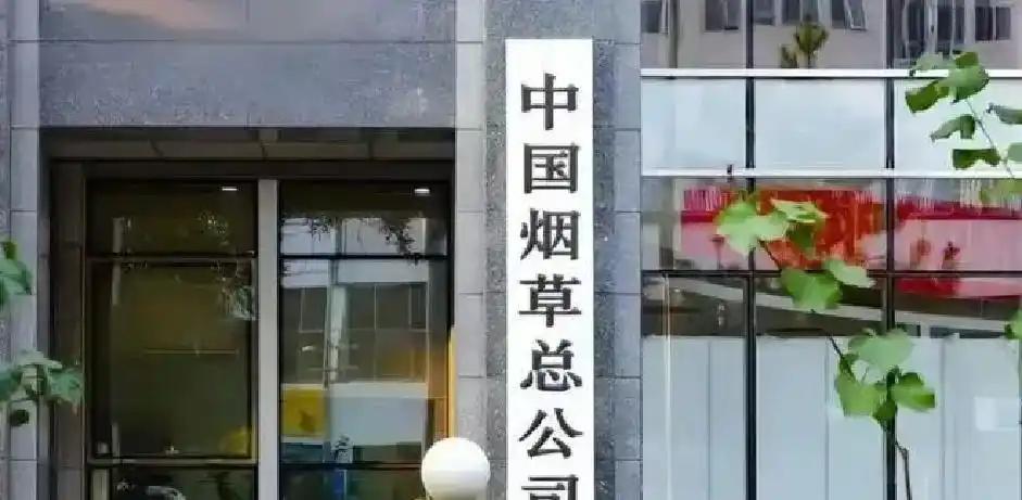 切尔西肠子都悔青了!当年免费放走的球员,现在穆里尼奥当成宝!