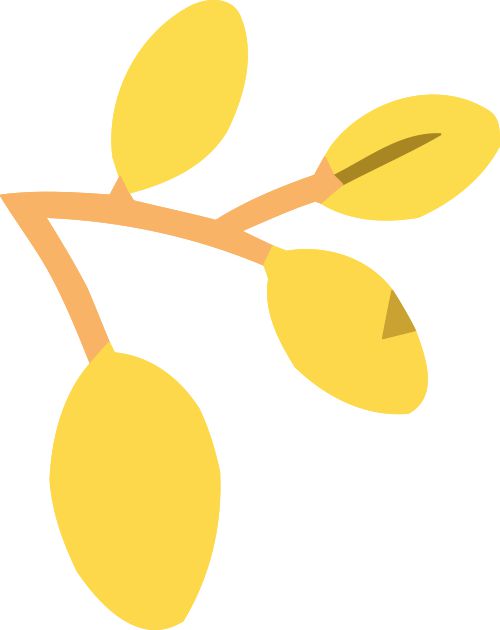 特长生相关世界杯网站推荐问题合集(图8)